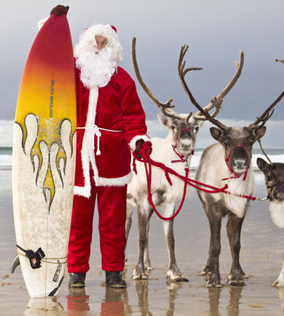 Reindeer at Fistral Beach