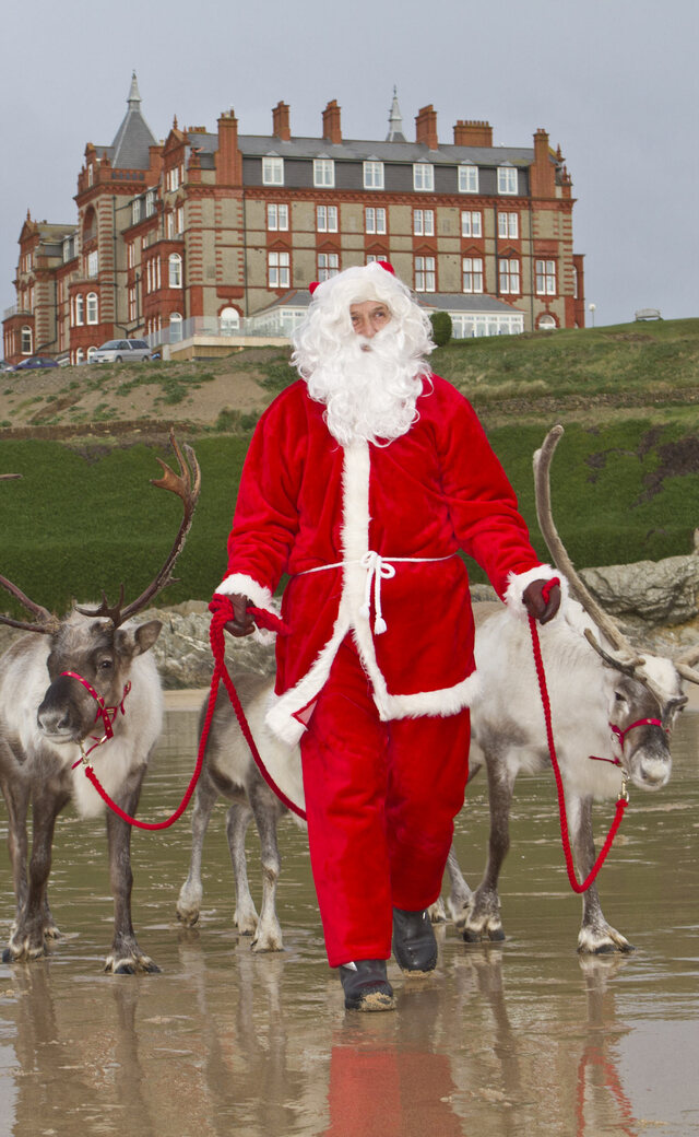Reindeer at Fistral Beach