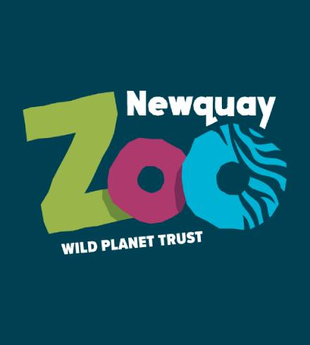 Spooky Zooquay