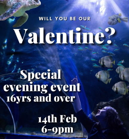 Valentine’s Evening at the Aquarium