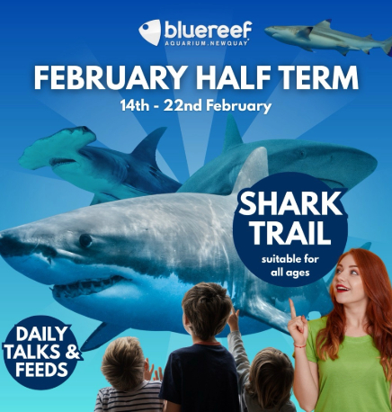 February Half Term at Blue Reef Aquarium