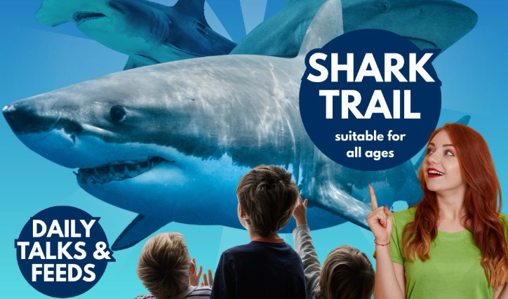 February Half Term at Blue Reef Aquarium