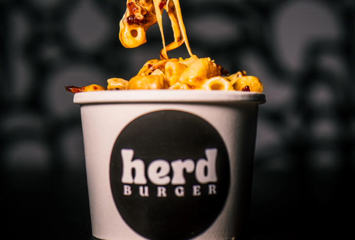 Relaxed, Laid-Back Newquay Vibes