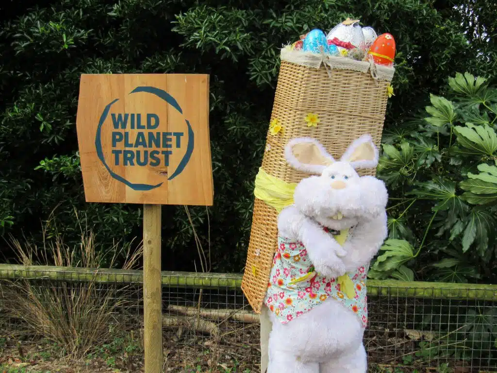  Easter at Newquay Zoo