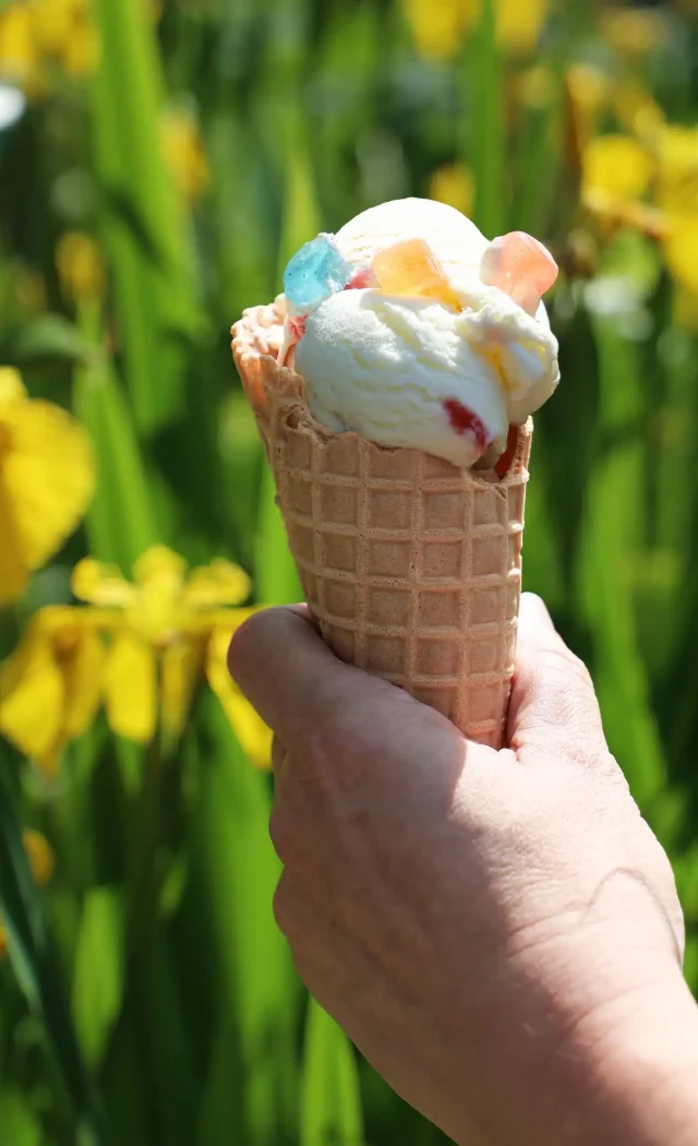  Easter at Newquay Zoo