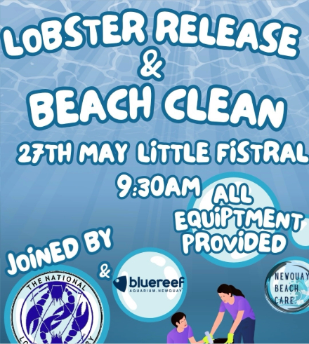 Beach Clean & Baby Lobster Release at Little Fistral