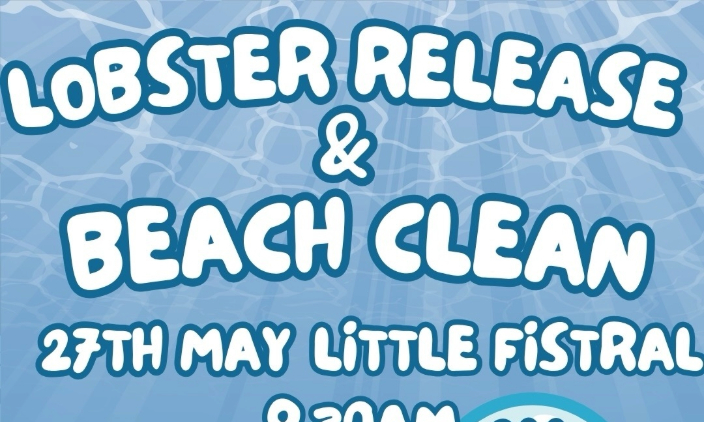 Beach Clean & Baby Lobster Release at Little Fistral