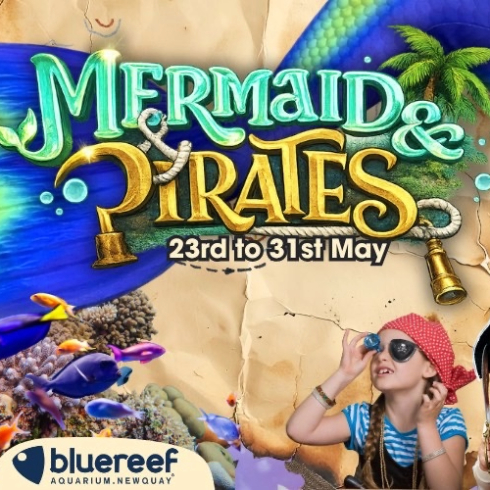 Half-Term Pirate & Mermaid Adventure at Blue Reef Aquarium
