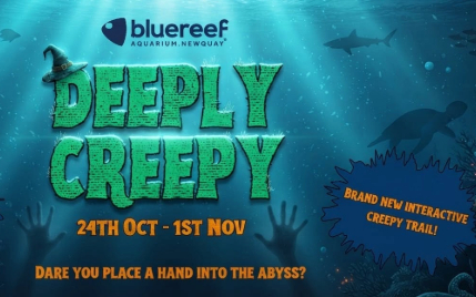 Deeply Creepy at Bluereef Aquariam
